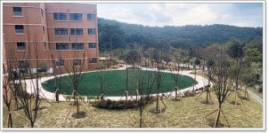 전남 함평군, 2024년 도시숲, 가로숲길 조성 본격 추진