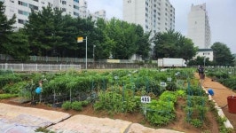 인천 계양구, 실버농장 분양대상자 424명 모집