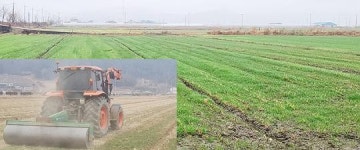 전남도농업기술원, 동계 사료작물 생산은 봄철 관리가 중요