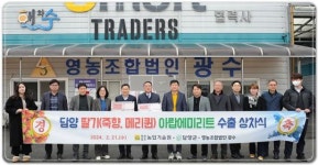 전남도농업기술원, 담양 프리미엄 딸기’ 두바이로 첫 수출