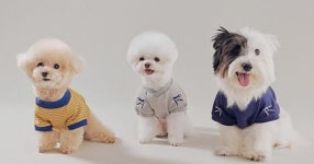 아비에무아, 국제 강아지의 날 맞아 펫 캡슐 컬렉션 공개