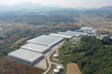 순창군, 경영실습 임대농장 ‘농업경영인’ 모집