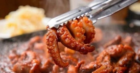 생방송투데이 맛집…주꾸미볶음 TOP5