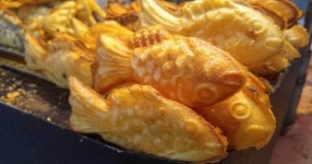 생방송 오늘저녁…요즘 붕어빵