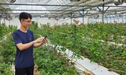 전남 강진군 장미농장, 스마트팜 기술로 무장한다