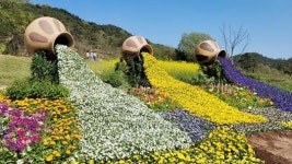[포토+영상]화순 고인돌 봄꽃 축제장,각종 포토 조형물 인기짱!