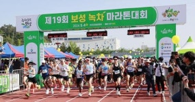 [포토]전남 보성군, 메타세콰이어길에서 열정의 레이스 시작