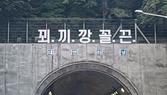 부산 괴문자 '꾀끼깡꼴끈'의 뜻은?…부산 시민들 당황 중