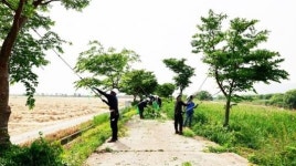 전남 보성군, 천년의 분재 거리 조성을 목표로 하천변 대대적인 수목 정비