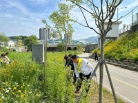 전진선 군수, 카포스 양평군지회와 환경정화 활동 나서