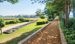 전남 무안군 무안회산백련지, 500m 황토 맨발길 6월 1일 개장