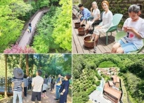 전남 보성군, ‘전남권환경성질환예방관리센터’에 ‘숲 힐링 체험’하러 가자!