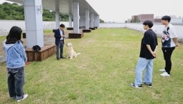 호남대 반려동물산업학과, ‘반려동물행동지도사’ 특강 및 실습