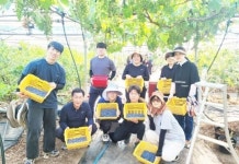 전남 장흥군 장평면, ‘블루베리 수확’ 농촌 일손돕기 나서