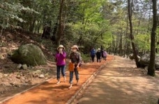 해운대구 ‘장산산림욕장 황톳길’ 인기