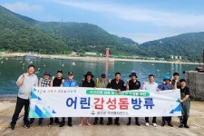 옹진군, 대청도 선진포구 인근에 감성돔 치어 30만미 방류