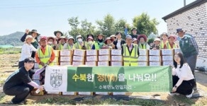 전남 담양군 수북면, 친환경 햇감자로 수북한 정 나눠요