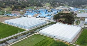전남 신안군,청년 농업인 경영실습 스마트팜 임차인 모집