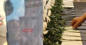 화성 화재 사망자 명단, 중국 틱톡에서 급속 확산 중