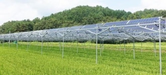 전남도, 쌀·전기 수확 영농형 태양광 발전단지 본격 조성