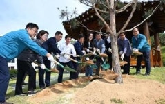 부산 기장군, 천연기념물 정이품송 자목 기념 식수