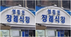 직장 동료들 통곡...시청역 사고 사망자들 신원이 확인됐다