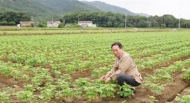 전남도, 벼 대신 논콩 심어 1석5조 영암 군서농협 화제
