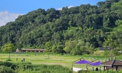 전남 화순군 능주 파크골프장, 재난 비상 2단계 발효 시 일시 정지