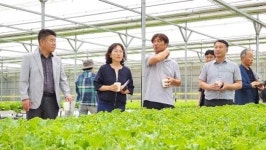 김행란 전남도농업기술원장, 함평군 영농현장 방문...소통 행보