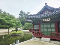 순천만국가정원, 여름의 한국정원을 담은 한 컷의 아름다움