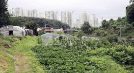 “서울 그린벨트 해제 카드 꺼냈다”…12년 만에 나온 깜짝 발표