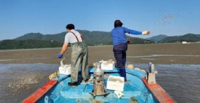 전남 순천시, 수산종패 살포로 어업인 소득증대에 구슬땀