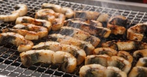 생방송 투데이 맛집 오늘, 장어구이 편
