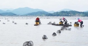 전남 순천시, 2024년 양식어장 정화사업 추진