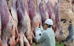 전남도,추석명절 안전한 전남산 축산물로 마음 전하세요