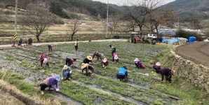 전남 곡성군 죽곡면 삼태마을, ‘마을 공동체 사업’ 최우수상 수상