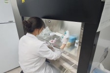 남원시바이오산업연구원, 도라지 추출 화장품 원료로 해외진출