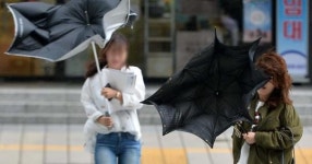시속 70㎞... 주말에 태풍급 강풍이 불어닥친다는 소식이 전해졌다