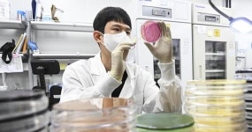 아픈 사람 상대로 거짓말…식약처, 식품 부당 광고 212건 적발