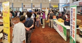 전남 진도군, 제17회 ‘치매극복의 날’ 기념행사