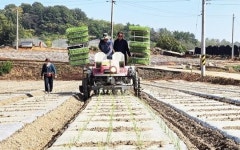 전남도, 밭작물 공동경영체 육성 공모에 3개소 선정
