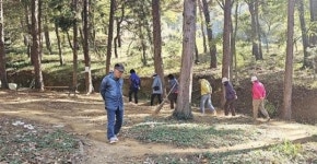 광주시 남구, ‘군분로 야시장 걷기 챌린지’ 실시
