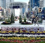 가을의 낭만에 취하다 ‘해운대 구남로 국화축제’ 20일까지