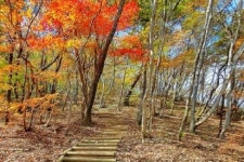 [기획보도] 정읍 내장산, 트레킹 코스 히든로드로 가을 여행객 맞는다
