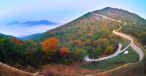 산림청, 충청권 대표 숲길로 예산 백제부흥군길 3코스 추천