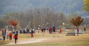 구미배 전국 파크골프대회, MVP 상금 3,000만 원 주인공 찾는다