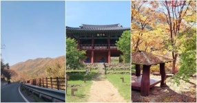 달성군, “빛나는 산책길 TOP3를 소개합니다”