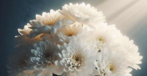 전세계 경악시킨 섬뜩한