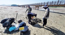 전남 신안군, 국제적 블루카본 도시로 도약~“갯벌 탄소저장 56조 원 가치 확인”