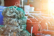 보령 겨울 미식 여행...서해 바다의 별미와 함께 따뜻한 추억을